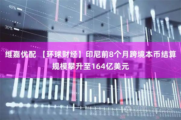维嘉优配 【环球财经】印尼前8个月跨境本币结算规模攀升至164亿美元