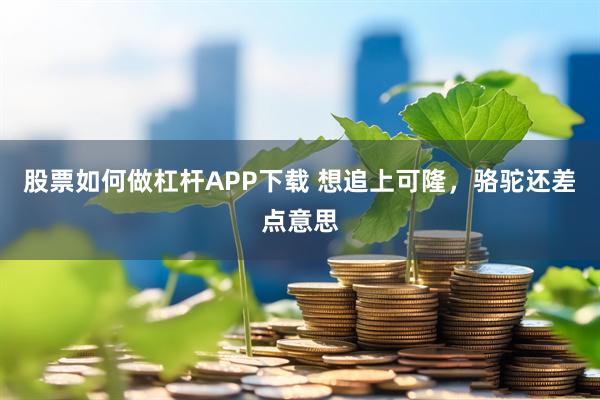 股票如何做杠杆APP下载 想追上可隆，骆驼还差点意思
