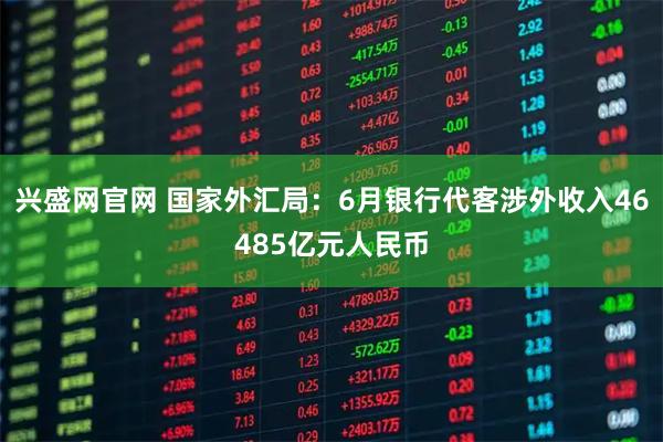 兴盛网官网 国家外汇局：6月银行代客涉外收入46485亿元人民币