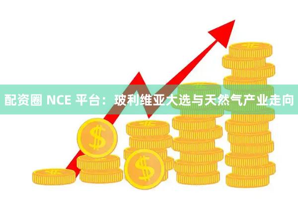 配资圈 NCE 平台：玻利维亚大选与天然气产业走向