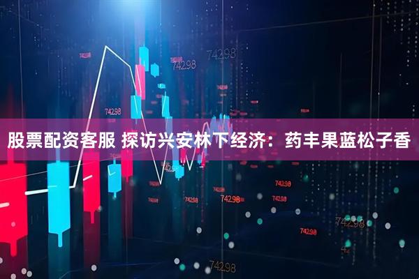 股票配资客服 探访兴安林下经济：药丰果蓝松子香